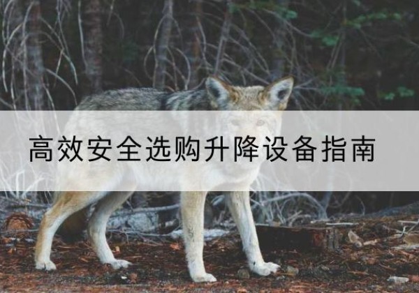 宜川升降货梯厂家推荐-*安全选购升降设备指南