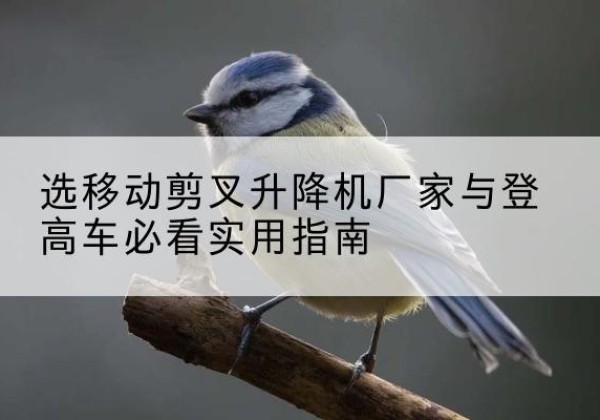 宜川电动升降机厂家-选移动剪叉升降机厂家与登高车必看实用指南